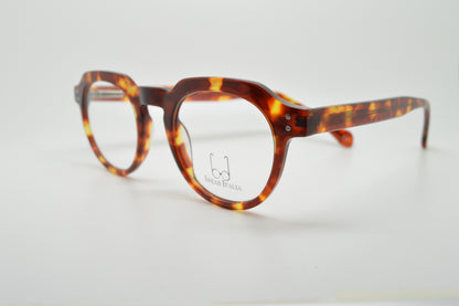 Modena Tortoise